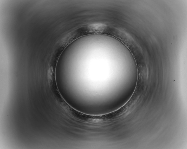 X0000098120649200804111116