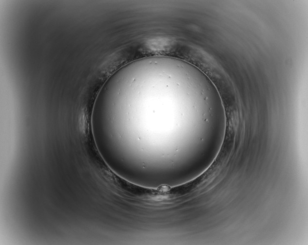 X0000098120651200804111116