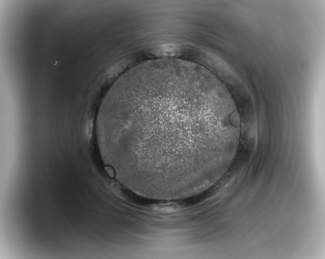 X0000098120652200804111116