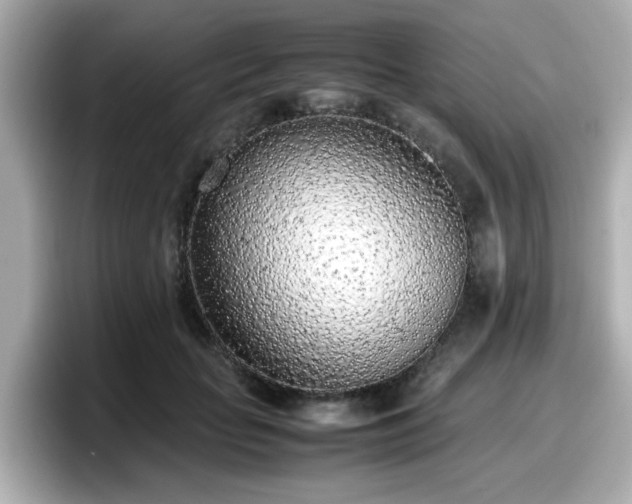 X0000098120653200804111116