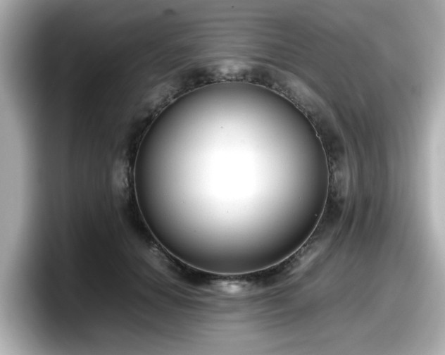 X0000098120654200804111116