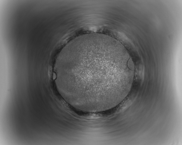 X0000098120656200804111116