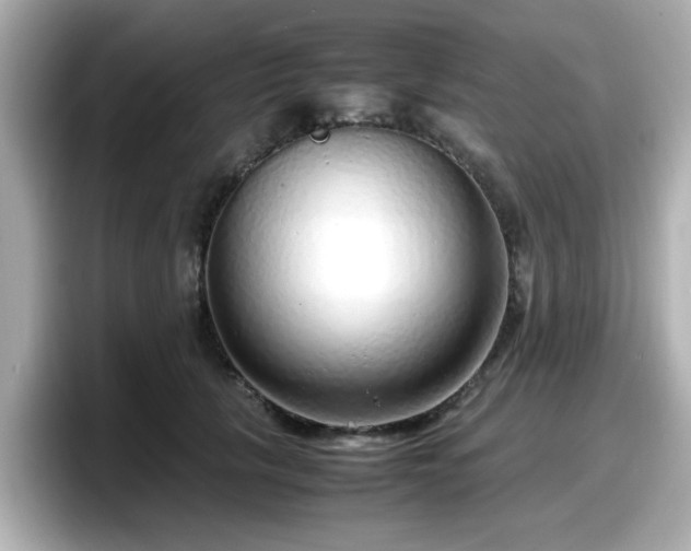 X0000098120657200804111116