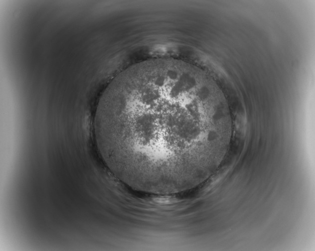 X0000098120659200804111116