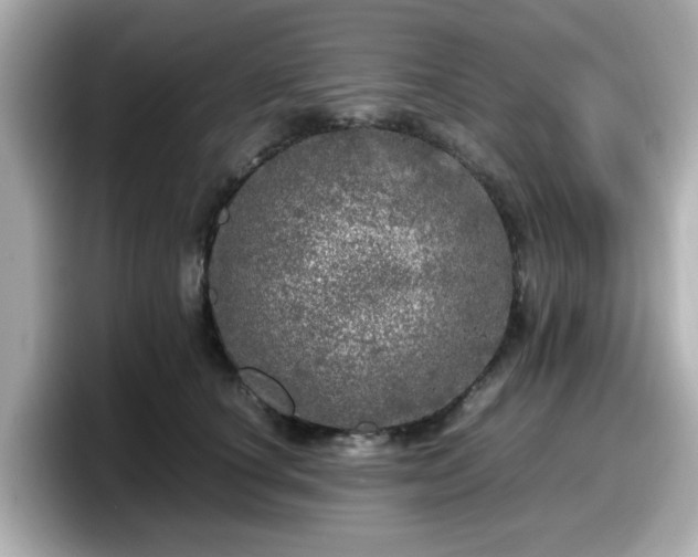 X0000098120660200804111116