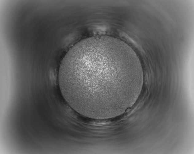 X0000098120661200804111116