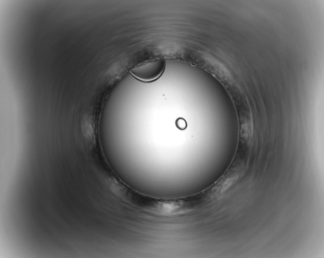 X0000098120662200804111116