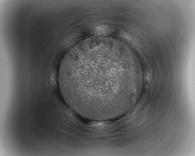 X0000098120663200804111116