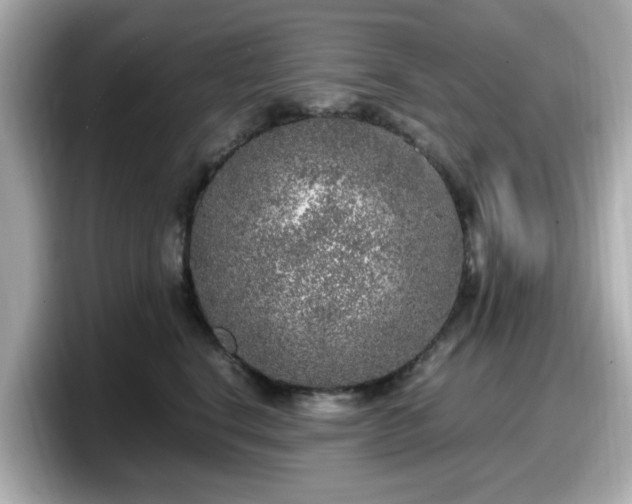 X0000098120664200804111116