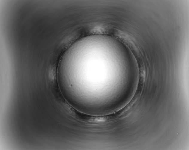 X0000098120665200804111116
