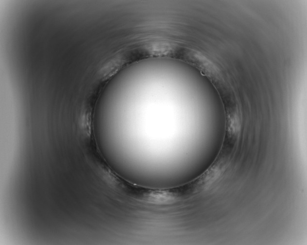 X0000098120666200804111116