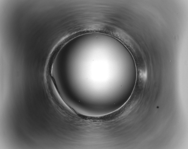 X0000098120676200804111116