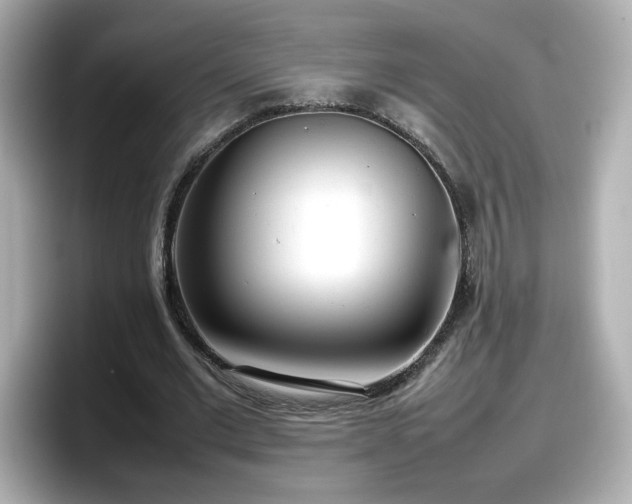 X0000098120677200804111116