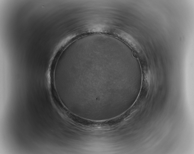 X0000098120678200804111116