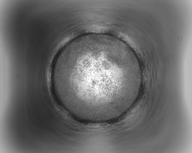 X0000098120679200804111115