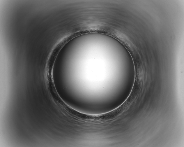 X0000098120680200804111115