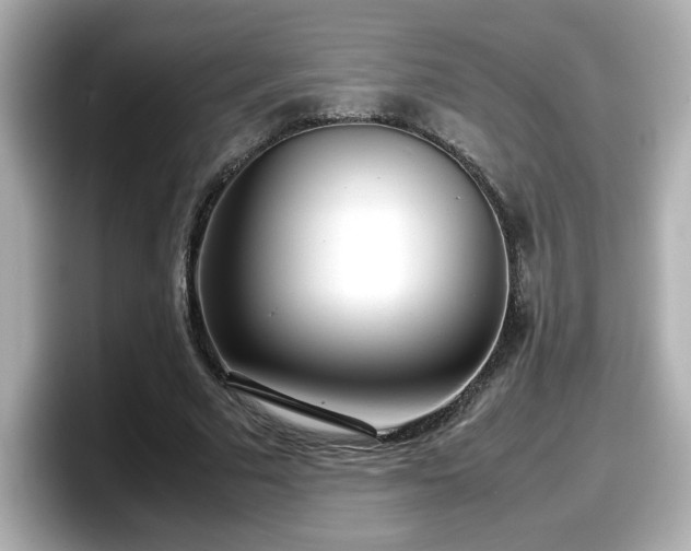 X0000098120681200804111115