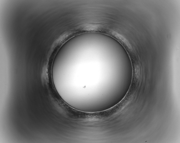 X0000098120682200804111115