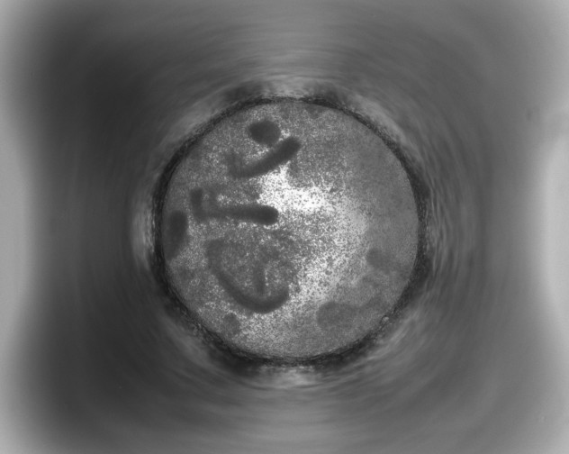 X0000098120683200804111115