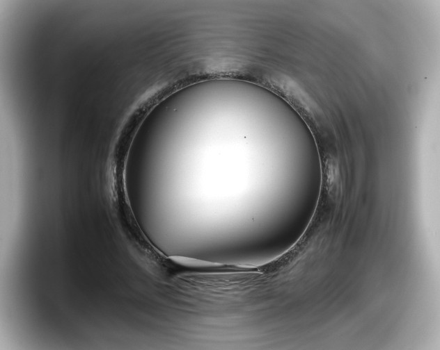 X0000098120684200804111115