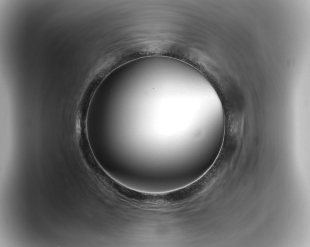 X0000098120685200804111115