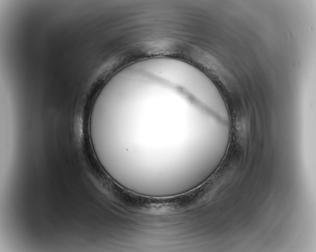 X0000098120686200804111115