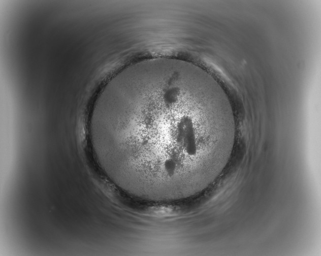 X0000098120687200804111115
