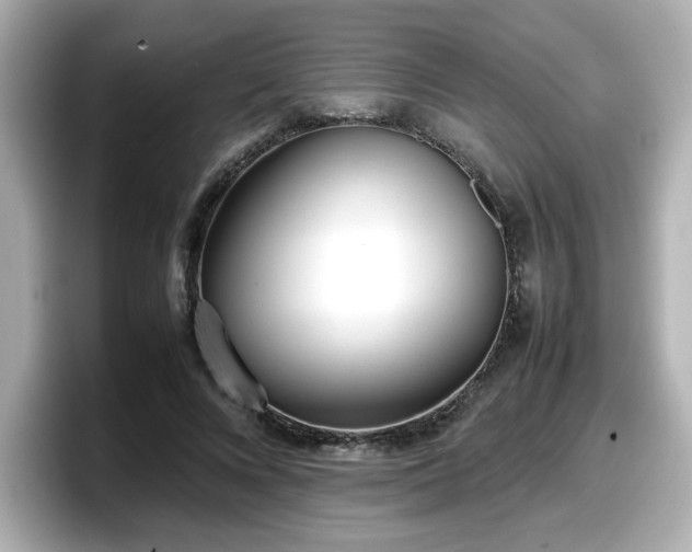 X0000098120688200804111115