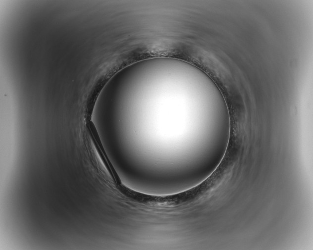 X0000098120689200804111115
