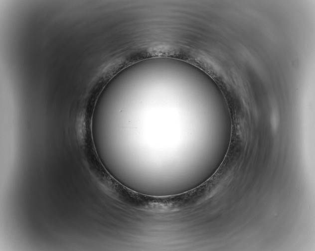 X0000098120690200804111115