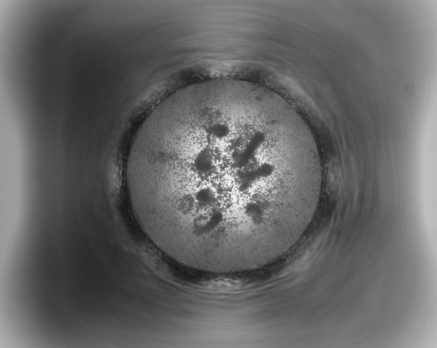X0000098120691200804111115