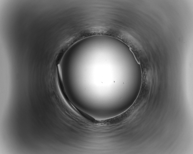 X0000098120692200804111115