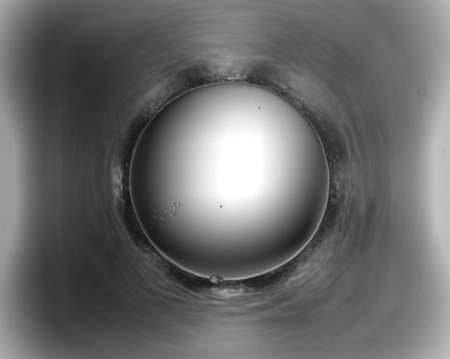 X0000098120693200804111115