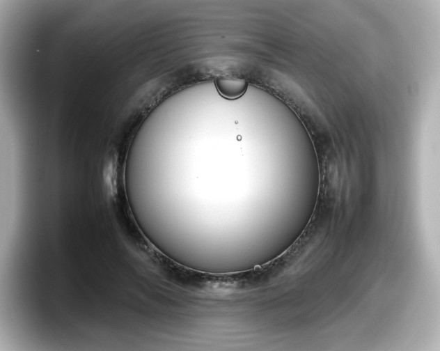 X0000098120694200804111115