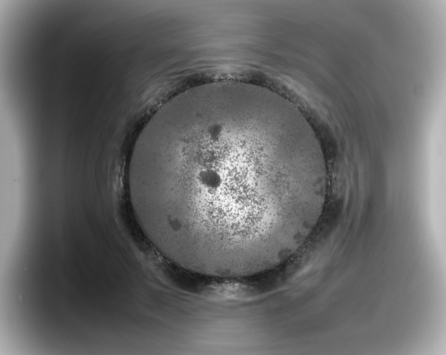 X0000098120695200804111115