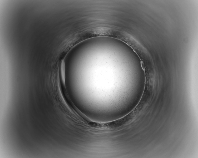 X0000098120696200804111115