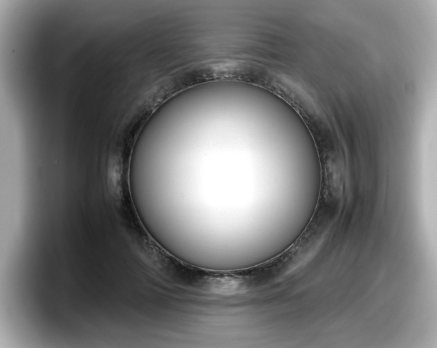 X0000098120698200804111115