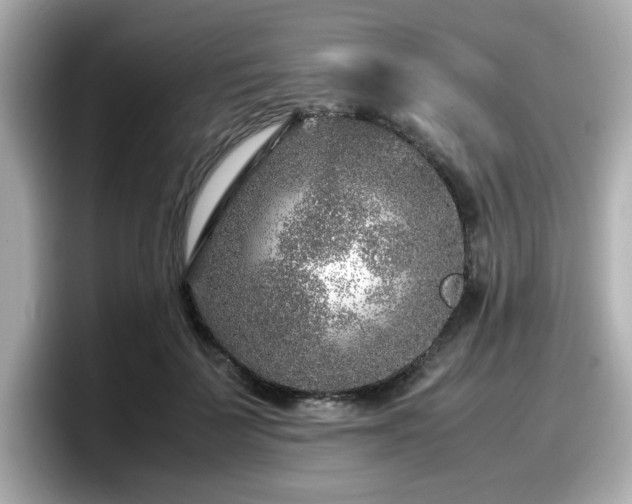 X0000098120699200804111115
