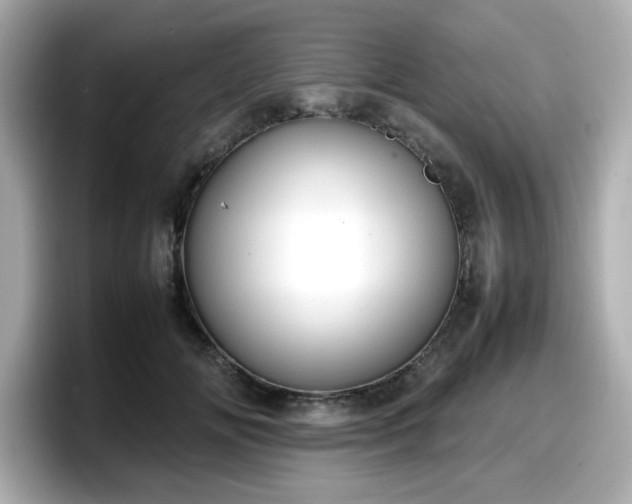 X0000098120702200804111115