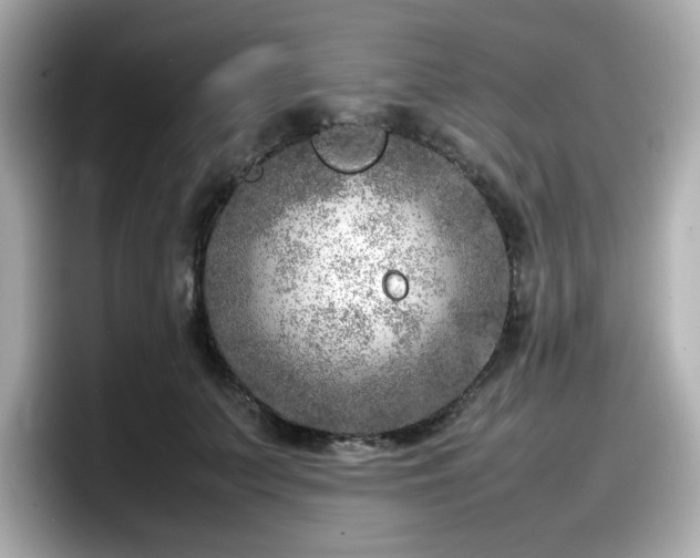 X0000098120703200804111115