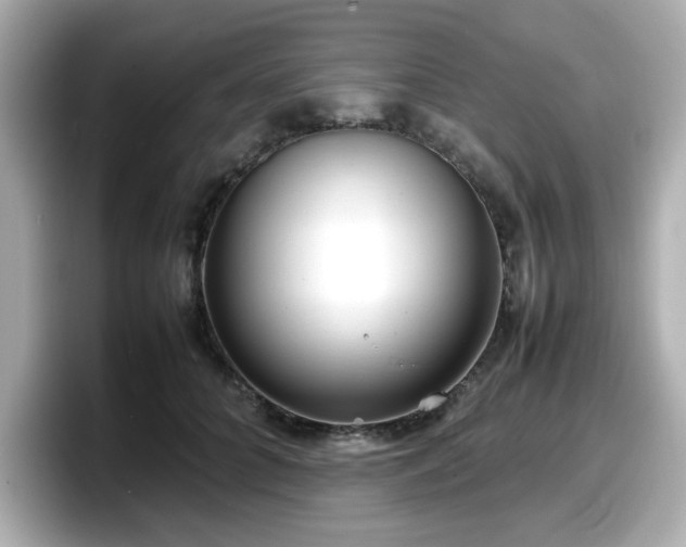 X0000098120704200804111115