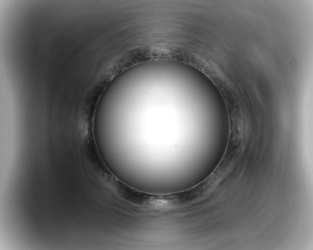 X0000098120706200804111115