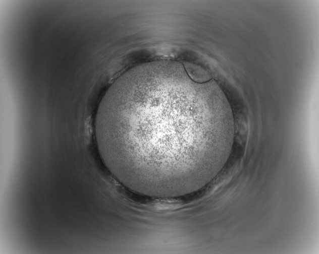 X0000098120707200804111115