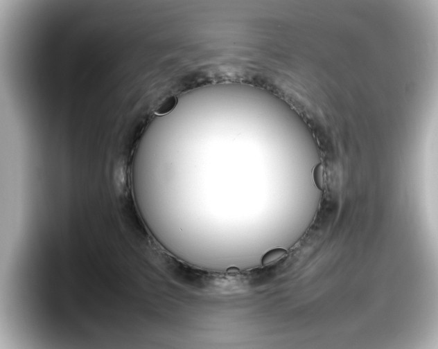 X0000098120709200804111115