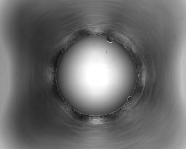 X0000098120710200804111115