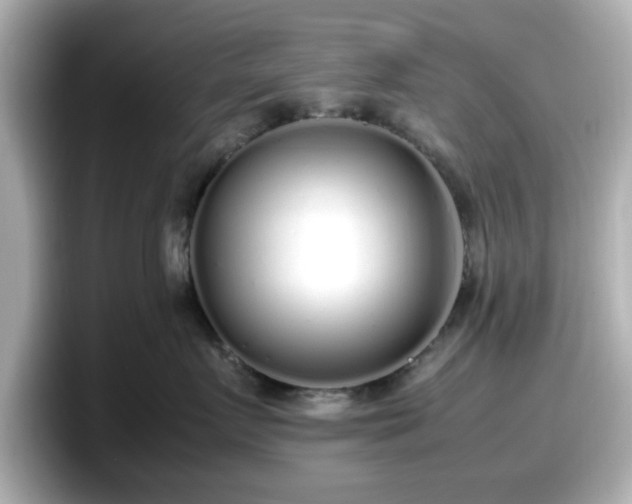X0000098120719200804111115