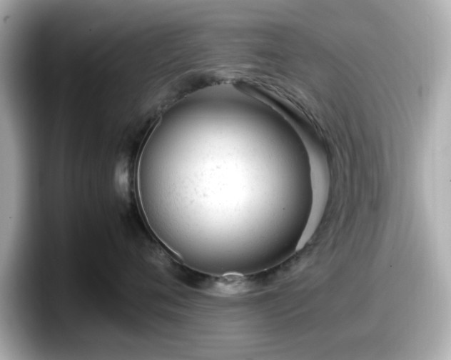 X0000098120720200804111115