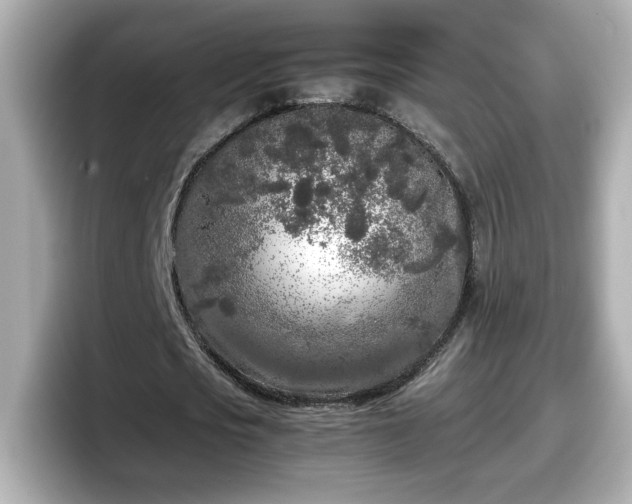 X0000098120721200804111114