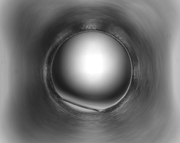 X0000098120722200804111114