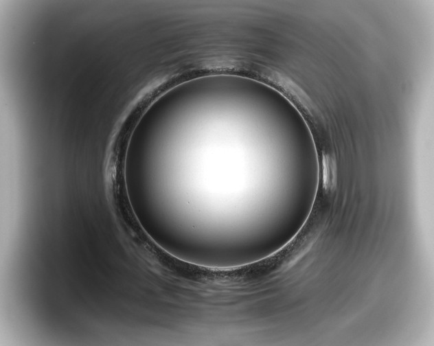 X0000098120723200804111114